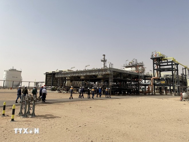 Oil and gas, energy cooperation strengthens Vietnam–Algeria friendship